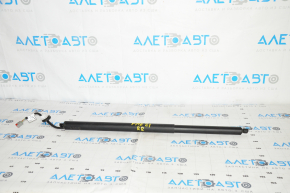 Trunk Door Shock Absorber Right Ford Mustang Mach-E 21-23 Electric