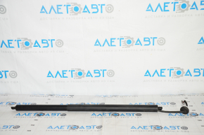 Trunk Door Shock Absorber Right Ford Mustang Mach-E 21-23 Electric