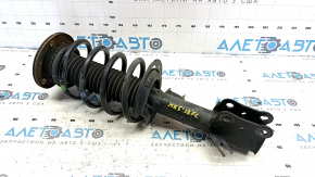 Shock absorber strut assembly front left Ford Fusion mk5 13-20 1.5T, 2.5
