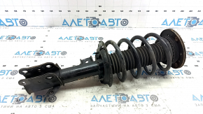 Shock absorber strut assembly front right Ford Fusion mk5 13-20 1.5T, 2.5