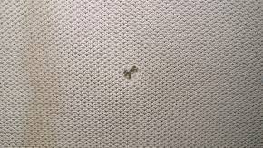 Ford C-max MK2 13-18 headlining gray, without sunroof, dry-cleanable, cracks, torn