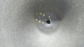 Honda Accord 18-22 Hood Insulation Tears