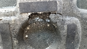 Foam plastic under the Toyota Avalon 13-18 tool, tears, dents