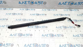 Trunk door shock absorber right Infiniti JX35 QX60 16-20 electric