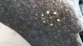 Foam plastic under the tool GMC Terrain 10-17 tears