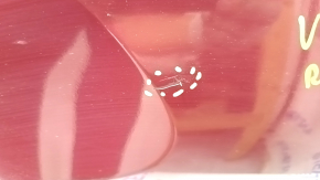 Rear bumper bare Toyota Camry v70 18-20 LE\XLE for parking sensors, red, torn, pressed, scratches, broken mount