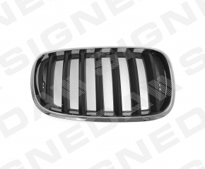 Radiator grill nostril right BMW X5 E70 07-13