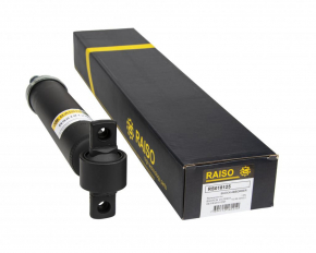Shock absorber rear left Ford Mustang mk6 15- coupe RAISO