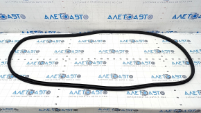 Door seal rear left Honda CRV 23-