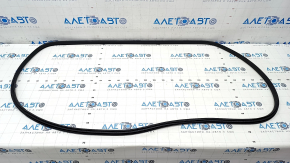 Door seal front left Honda CRV 23-