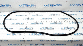 Door seal front right Honda CRV 23-