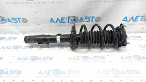 Shock absorber strut assembly front left Honda CRV 23- 1.5T AWD