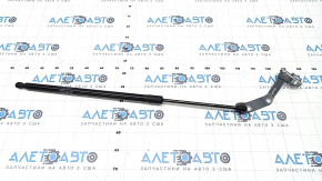 Trunk door shock absorber with hinge left Honda CRV 23-