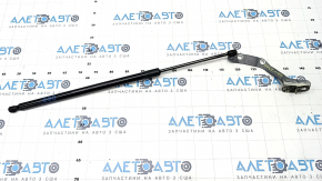 Trunk door shock absorber with hinge right Honda CRV 23-