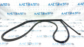 Door seal rear right Hyundai Sonata 20-22