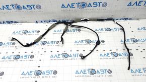 Trunk Door Wiring Honda CRV 23-
