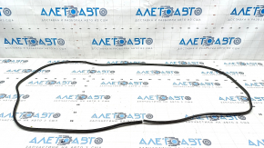 BMW 5 G30 17-23 sunroof seal outer