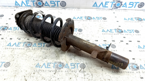 Shock absorber strut assembly front left Ford Escape MK3 13-19 oblique cup, rusty