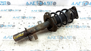 Shock absorber strut assembly front right Ford Escape MK3 13-19 oblique cup, rusty