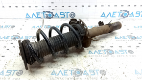 Shock absorber strut assembly front right Ford Escape MK3 13-19 oblique cup, rusty