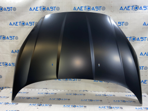 Hood naked Ford Fiesta 11-19 USA