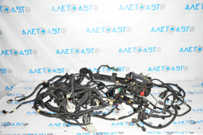 Wiring Engine Bay with Block Ford Mustang Mach-E 21-23