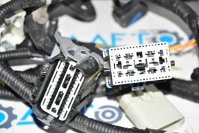 Wiring Engine Bay with Block Ford Mustang Mach-E 21-23