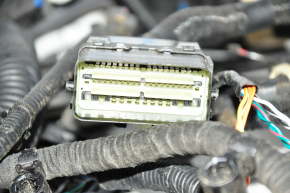 Wiring Engine Bay with Block Ford Mustang Mach-E 21-23