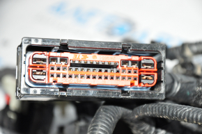 Wiring Engine Bay with Block Ford Mustang Mach-E 21-23
