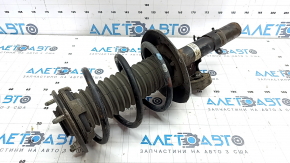 Shock absorber strut assembly front right Honda Accord 13-17 rusty