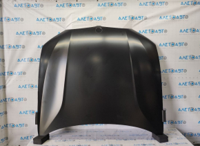 Bare hood BMW 3 G20 19- steel TW