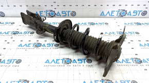 Shock absorber strut assembly rear left Jeep Compass 17- AWD rusty
