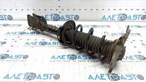 Shock absorber strut assembly rear right Jeep Compass 17- AWD rusty