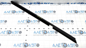 Glass seal inner door rear right BMW X5 G05 19-23