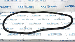 Door seal rear right BMW X5 G05 19-23