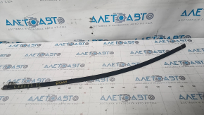 Upper door molding front left Nissan Leaf 13-17 matte, scratches