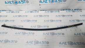 Upper door molding front left Nissan Leaf 13-17 matte, scratches