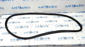 Front left door seal BMW 5 G30 17-23 worn