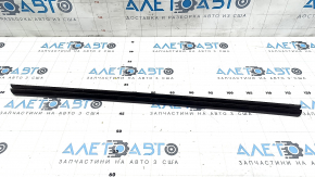 Glass seal inside rear right door Hyundai Elantra 21-23