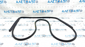 Door seal rear right Hyundai Elantra 21-23