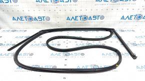 Door seal rear right Hyundai Elantra 21-23