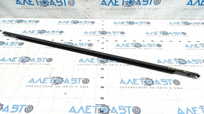 Molding door-glass central rear left Hyundai Elantra 21-23 black