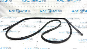Rear left door seal Hyundai Elantra 21-23
