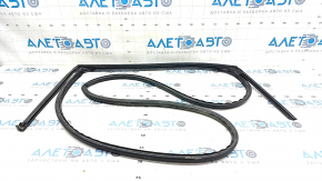 Rear left door seal Hyundai Elantra 21-23