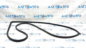 Front left door seal Hyundai Elantra 21-23