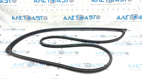 Front left door seal Hyundai Elantra 21-23