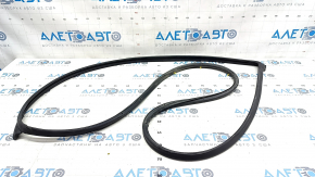 Front right door seal Hyundai Elantra 21-23