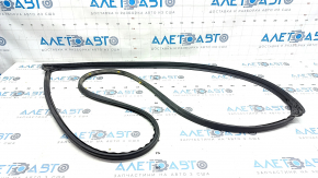 Front right door seal Hyundai Elantra 21-23