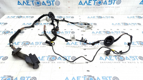 Wiring front right door Hyundai Elantra 21-23