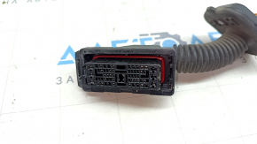 Wiring front right door Hyundai Elantra 21-23